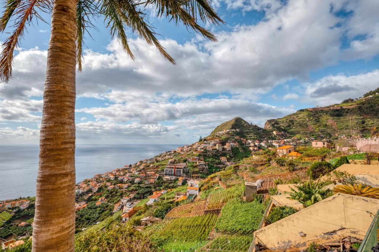 Palm Tree House By Amazing Madeira Villa Camara de Lobos Ngoại thất bức ảnh