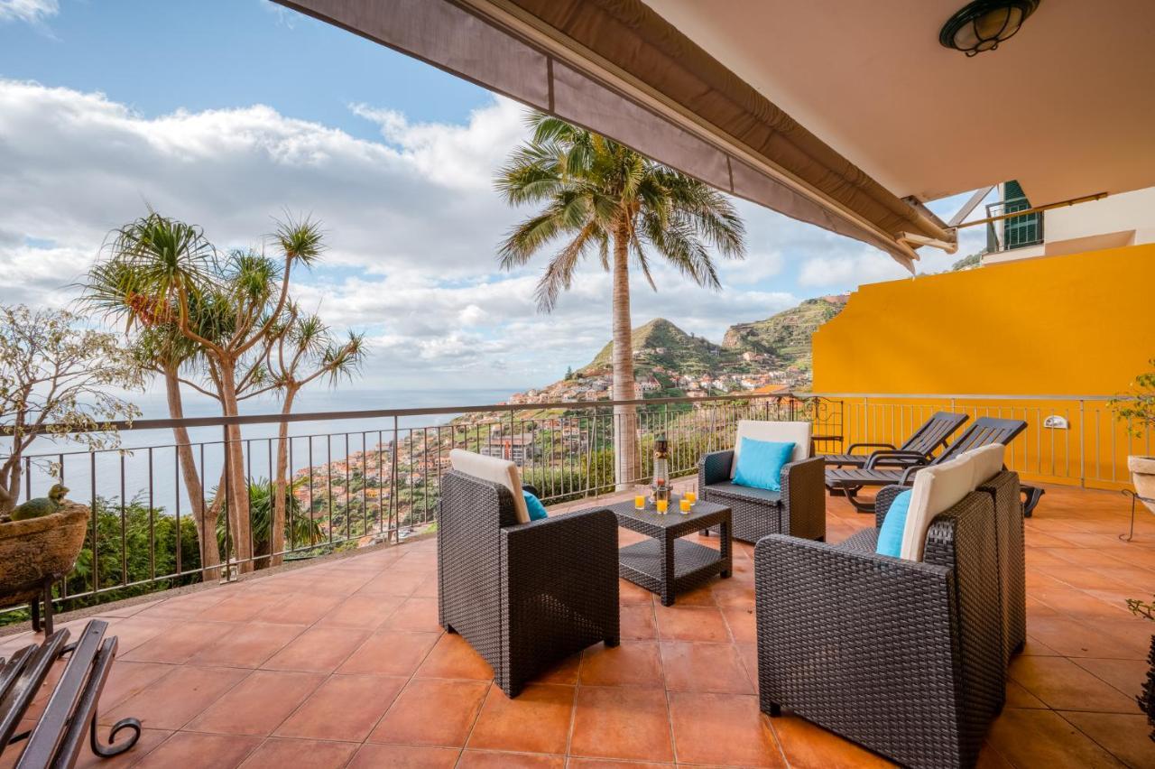 Palm Tree House By Amazing Madeira Villa Camara de Lobos Ngoại thất bức ảnh